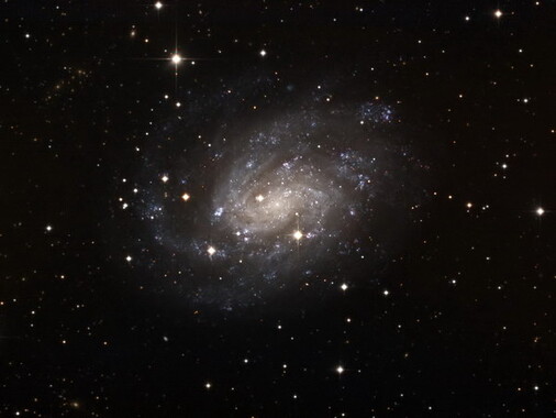 Die Galaxie NGC 300 Sternbild Sculptor